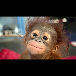 Meet your Posher, Jasmine